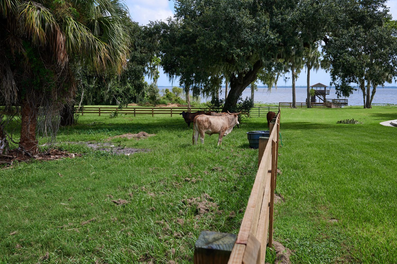 3111 Masterpiece Rd, Lake Wales, FL 33898